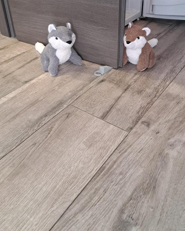 Domácí mazlíčci ubytovaní s hosty v ubytování Apartman FOX