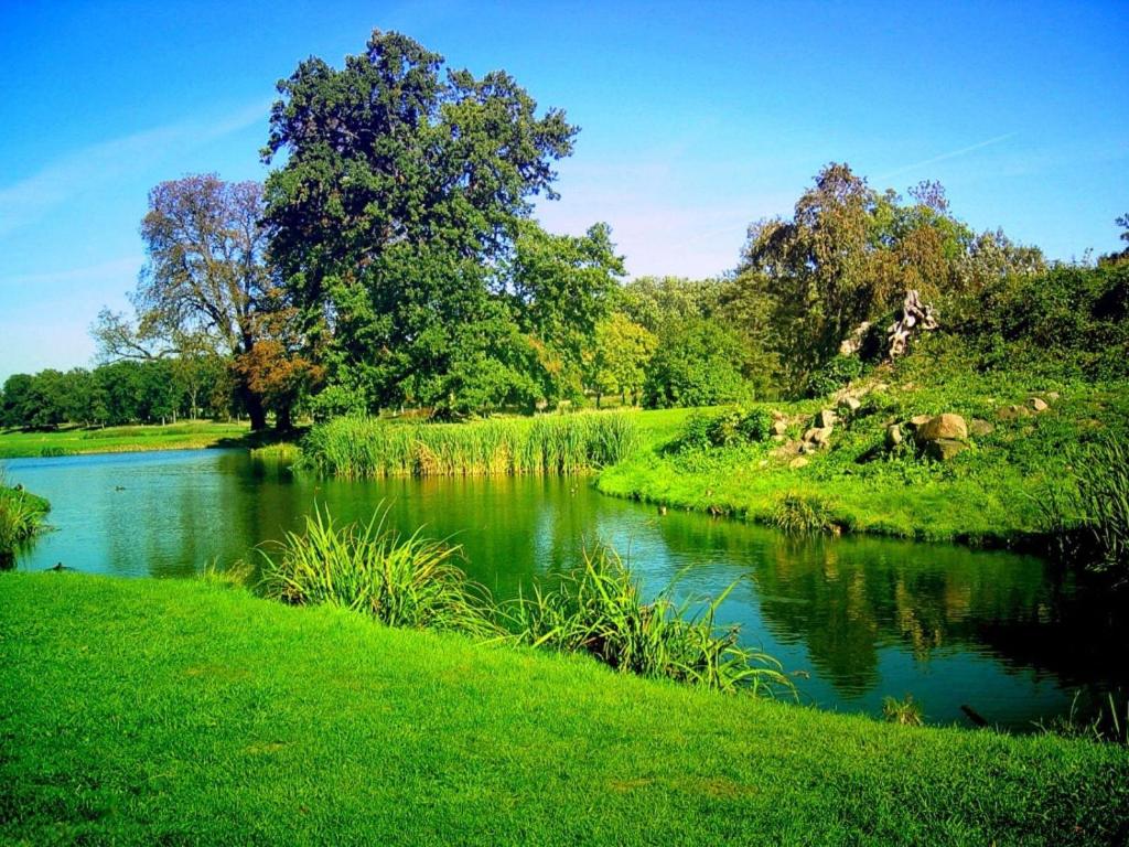 a river in a field with green grass and trees at Shivay Guest house in Jasidih