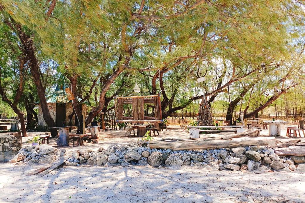 Cemara Beachfront Suite في Mondu: مجموعة طاولات نزهة في حديقة مع أشجار