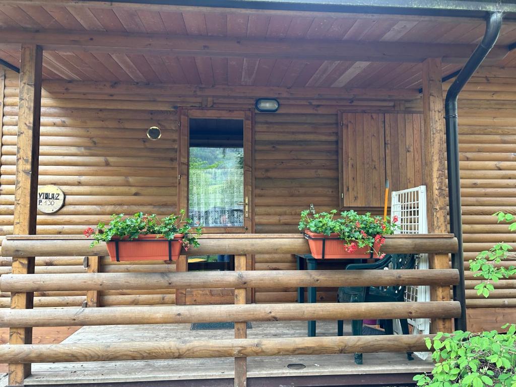 Zahrada ubytování Camping Village Boscoblu'