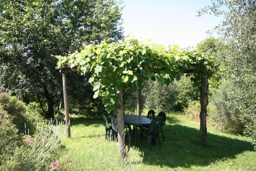 Zahrada ubytování Podere Il Pino