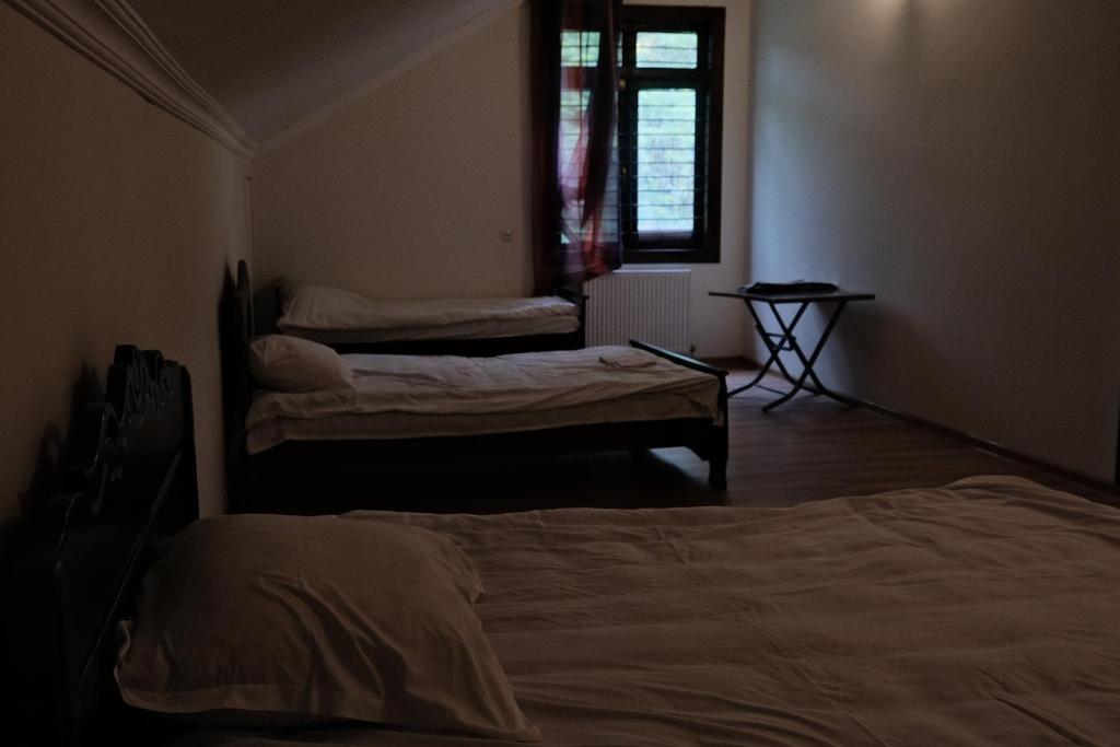 SIO Marani - Camera Quadrupla Con Bagno Condiviso