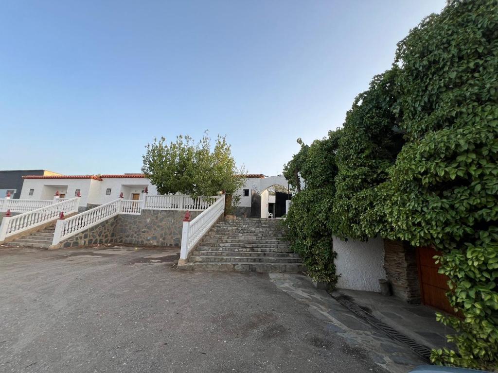 a set of stairs leading up to a building at Pensión Xiquena in Fiñana
