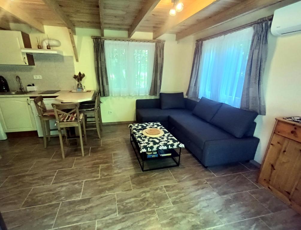 Kuchyň nebo kuchyňský kout v ubytování Mókuska erdőszéli faházikó