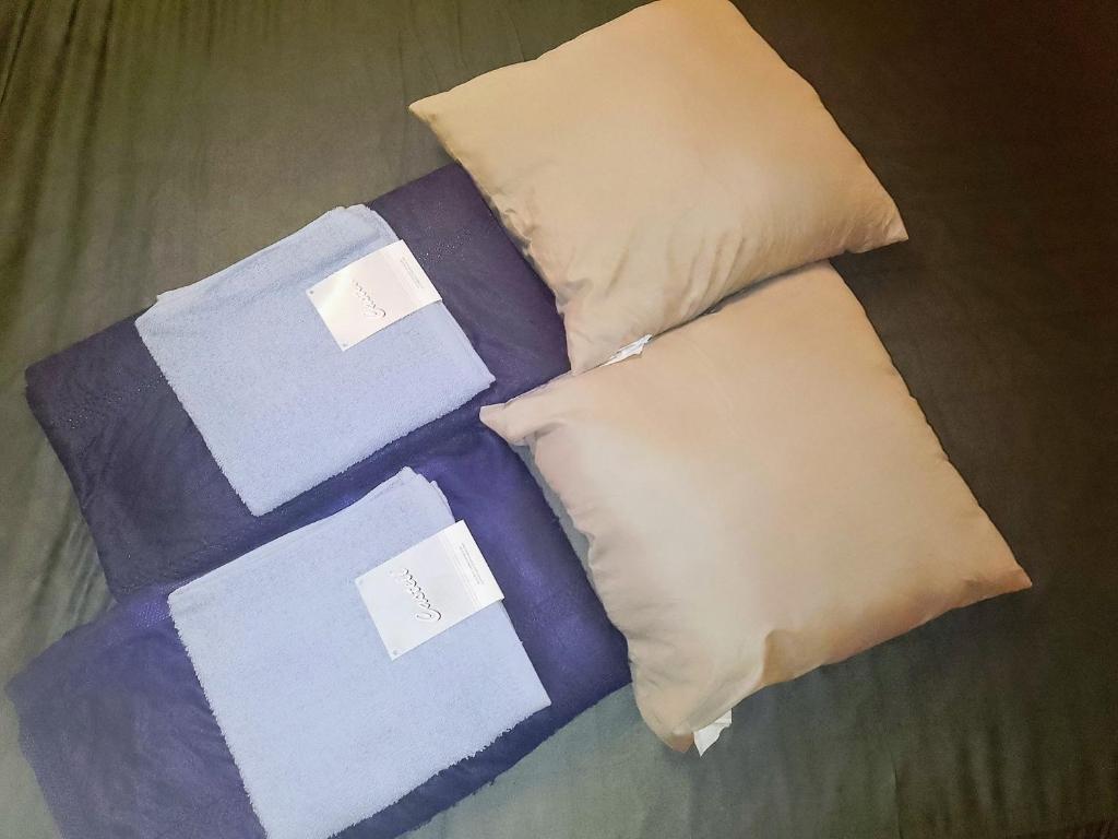 BUDGET Apt Dresden Trainstation - Fox Box - Resim 8