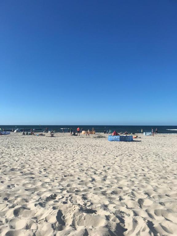 Naturlandskabet i nærheden af lejligheden