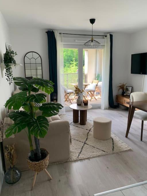 un salon avec un canapé et une plante en pot dans l'établissement Appartement cosy 2 pièces à Neuilly-sur-marne, à Neuilly-sur-Marne