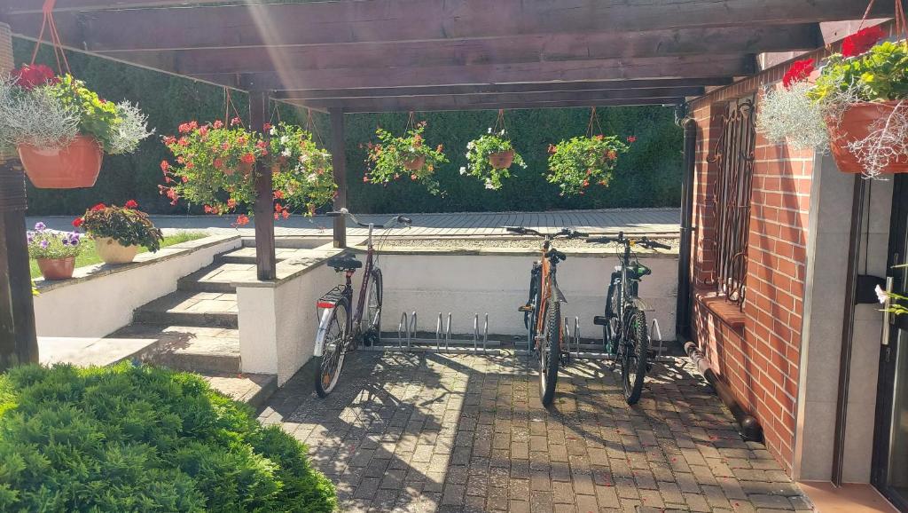 Wanta Kołobrzeg - 17