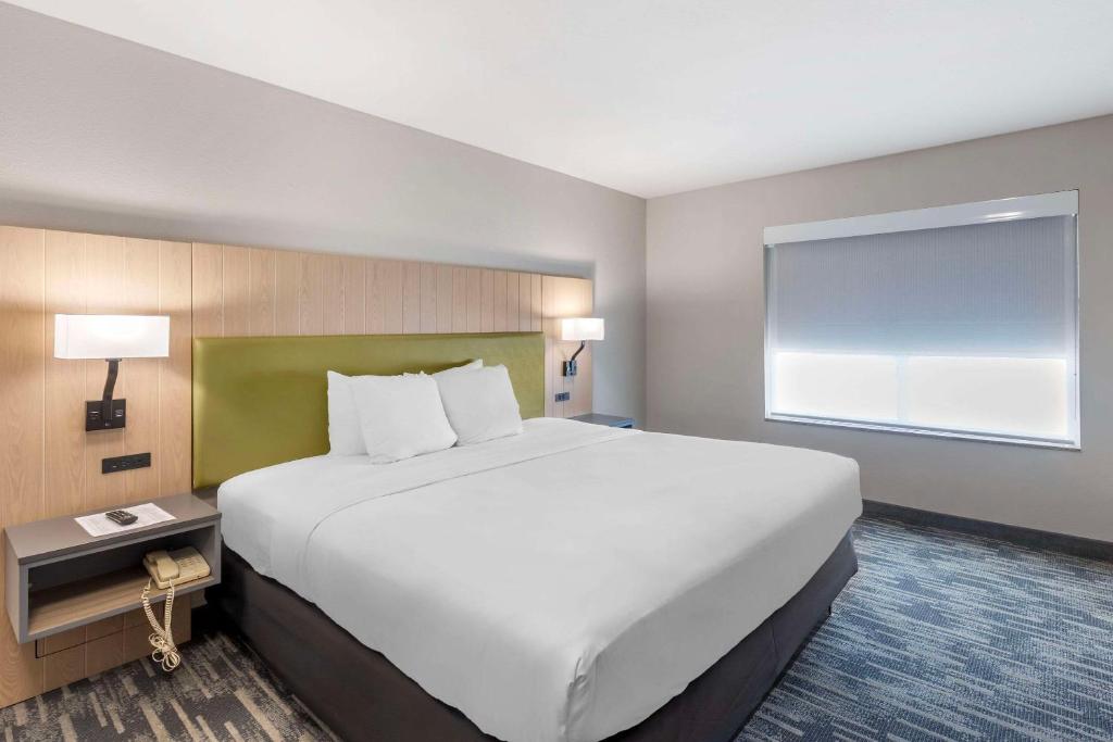 Country Inn & Suites by Radisson, St Peters, MO - Suite King D'une Chambre - Non-fumeur