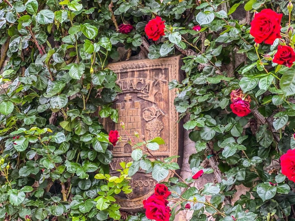 Ogród w obiekcie Heritage Hotel & Estate Raznjevica Dvori AD 1307