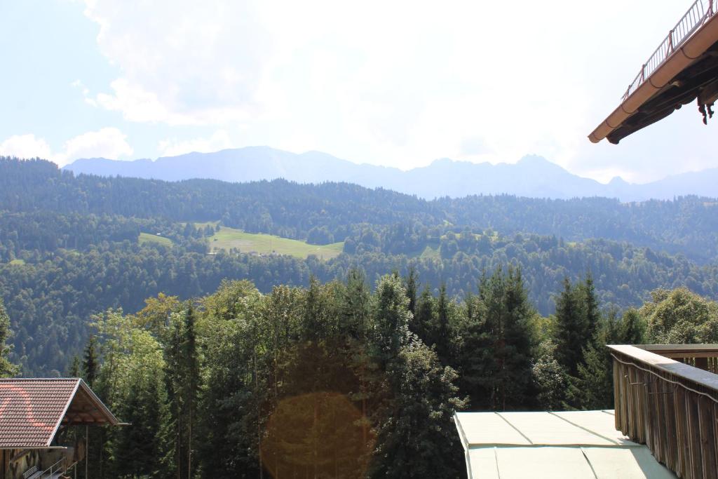 Pfeiffer Alm am Sonnenhang mit Blick auf die Zugspitze - 6