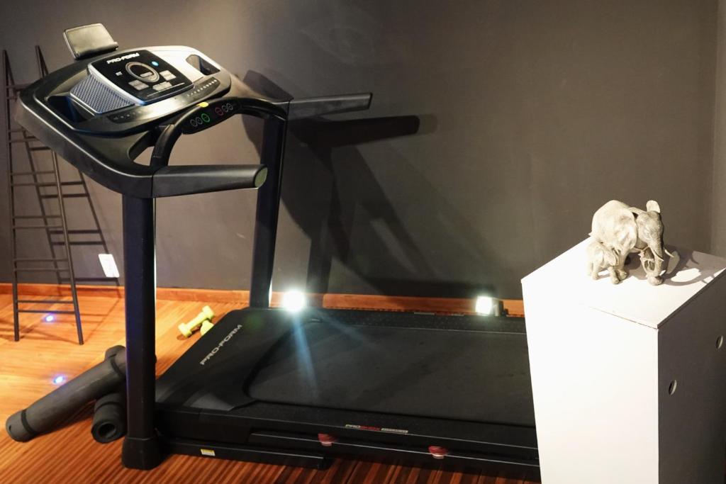 Posilňovňa alebo fitness centrum v ubytovaní Gîte à la campagne Les Grandes Maisons Espace jacuzzi hammam SPA