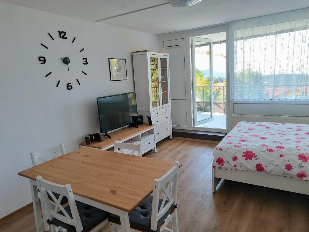 TV a/nebo společenská místnost v ubytování Apartmán Petr Sankt Englmar, Bayerische Wald