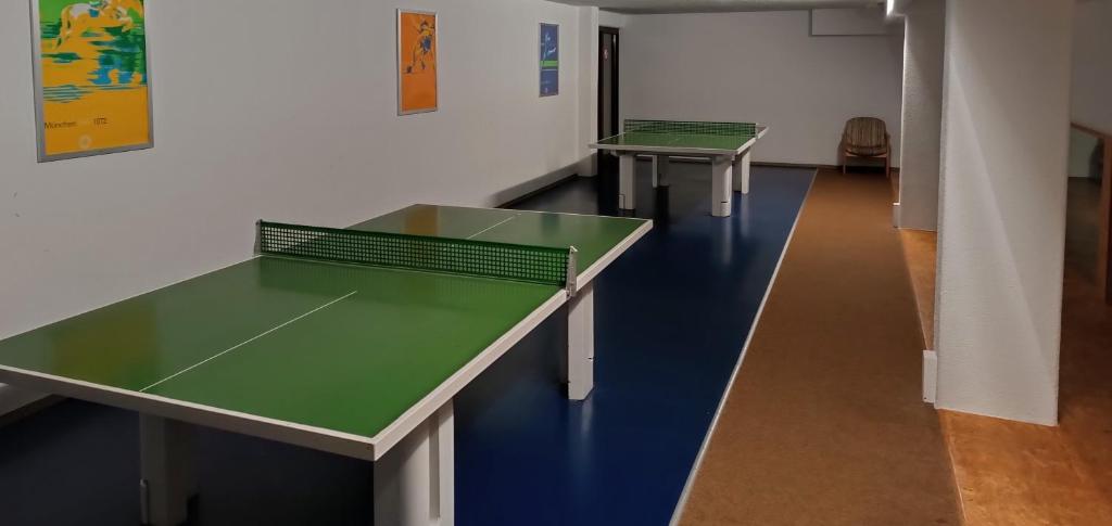 Herní místnost v ubytování Apartmán Petr Sankt Englmar, Bayerische Wald
