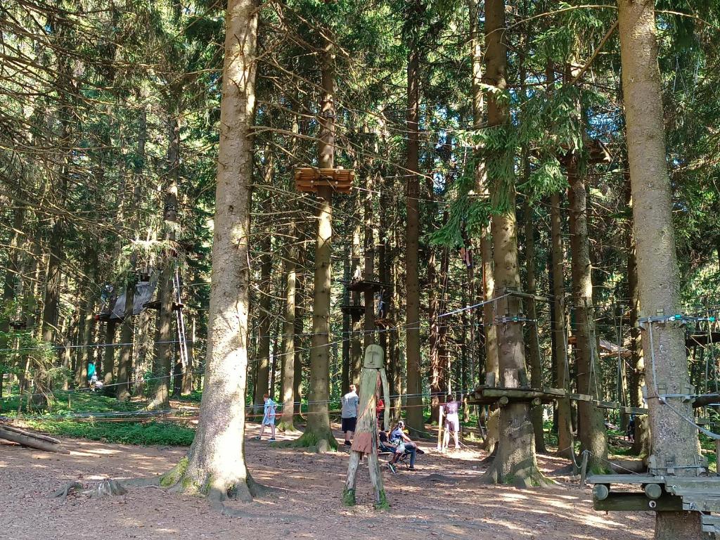 Hosté ubytování Apartmán Petr Sankt Englmar, Bayerische Wald