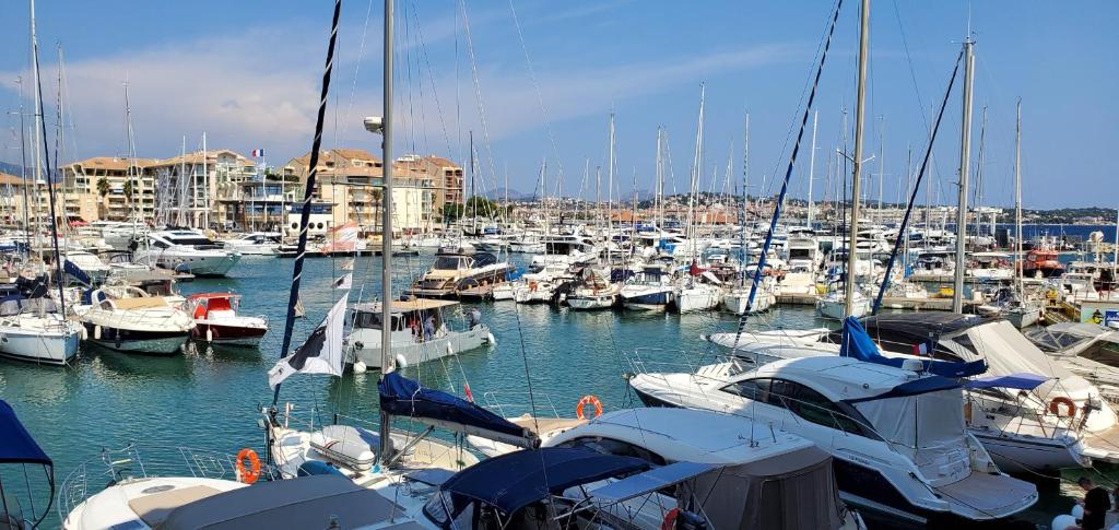 un groupe de bateaux amarrés dans un port dans l'établissement Vue sur Port Frejus pour ce T2-3 Cap Hermes, 6 cou, à Fréjus