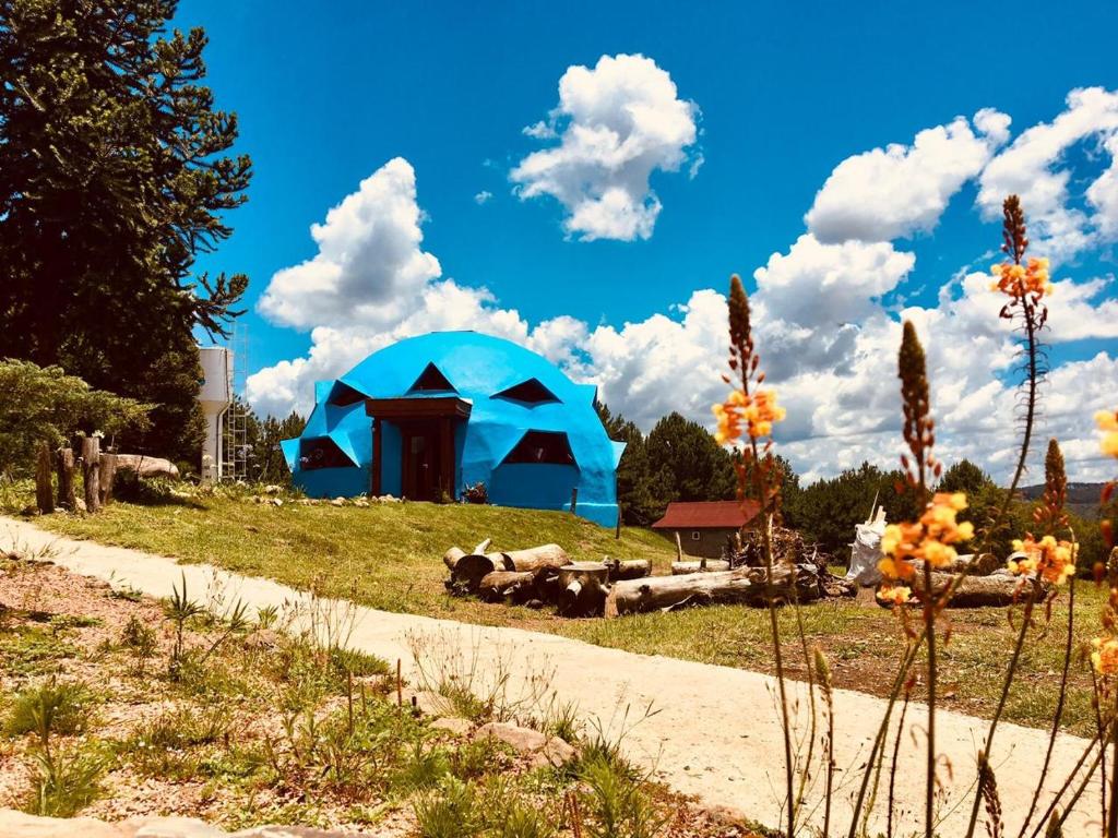 Zahrada ubytování Nova Terra