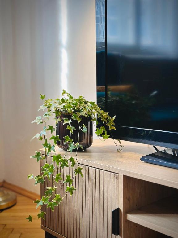 Televízia a/alebo spoločenská miestnosť v ubytovaní Boho Apartment in Old Town