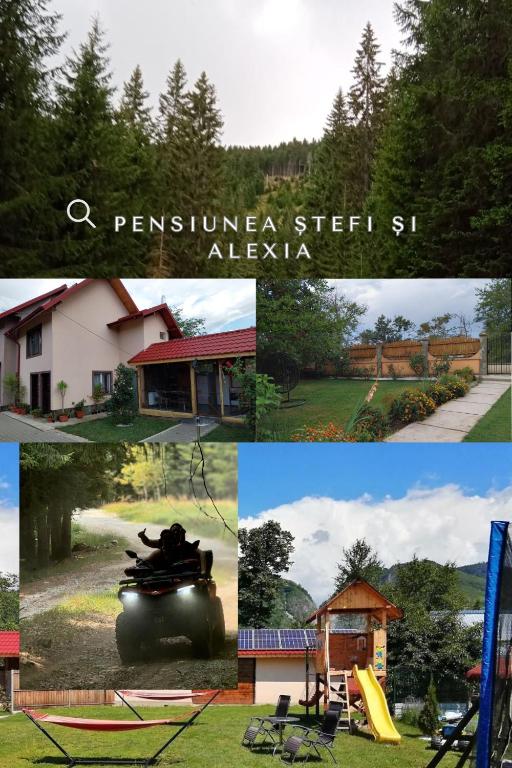 a collage of pictures of a house and a park at Casa Stefi si Alexia in Polovragi