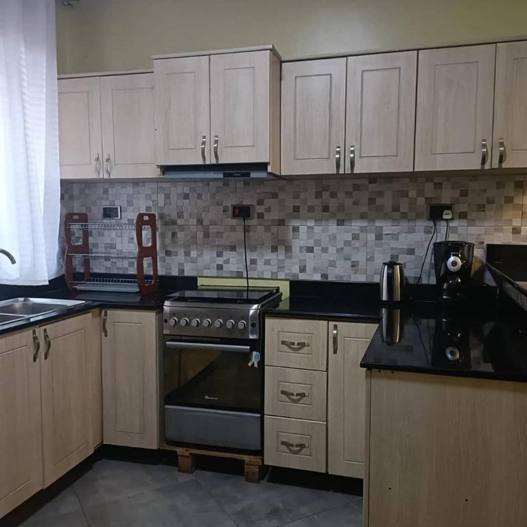Kuchyň nebo kuchyňský kout v ubytování Tresor