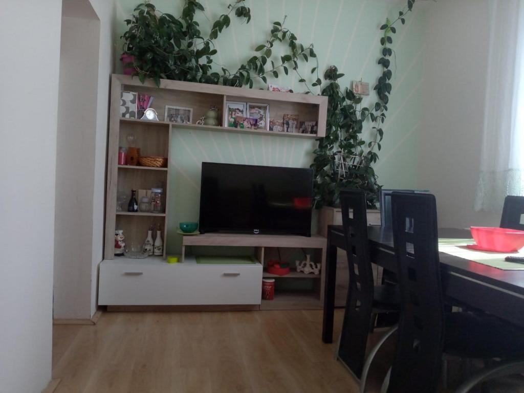 TV a/nebo společenská místnost v ubytování Sobe Popovica