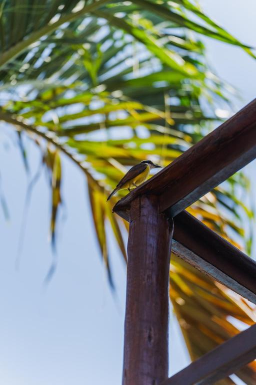 Fotografie z fotogalerie ubytování Nova Pousada Don Pepe v destinaci Barra Grande