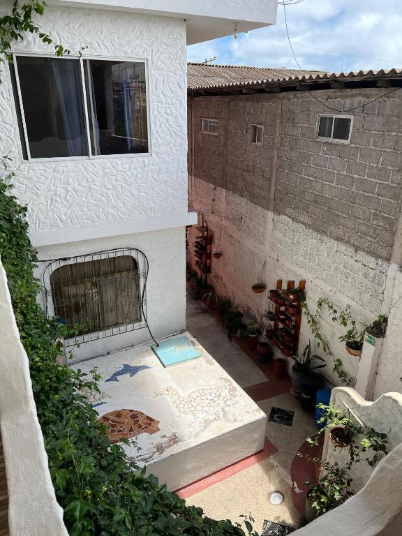Zahrada ubytování Hostal Cattleya