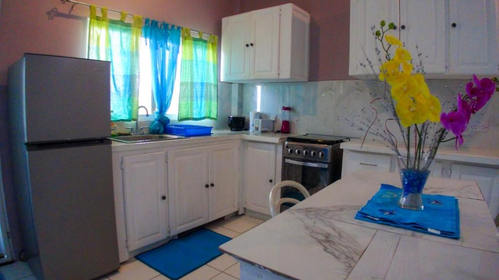 Dapur atau dapur kecil di Nested View- Spacious & quiet Apt 2 Nested Point Old Westerhall