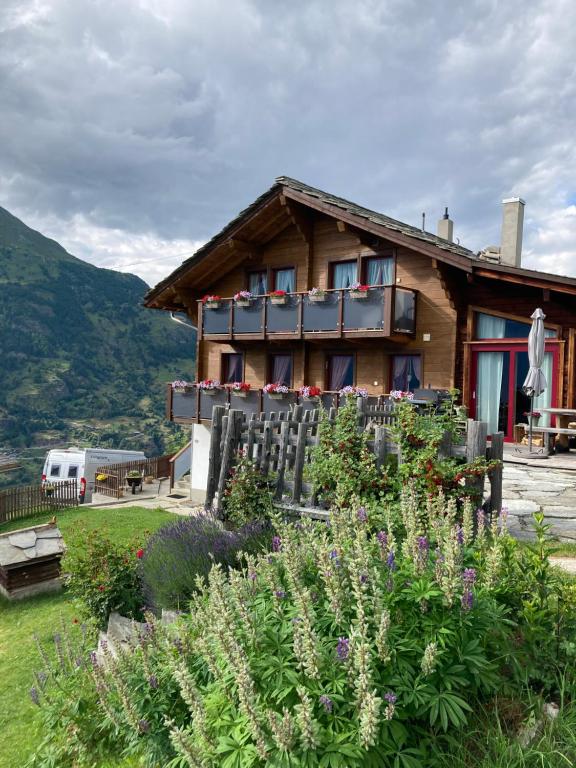 Příroda nedaleko apartmánu