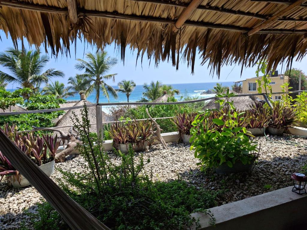 ein Blick auf den Strand von einem Resort mit Pflanzen in der Unterkunft Casa Xkaanda in San Agustinillo