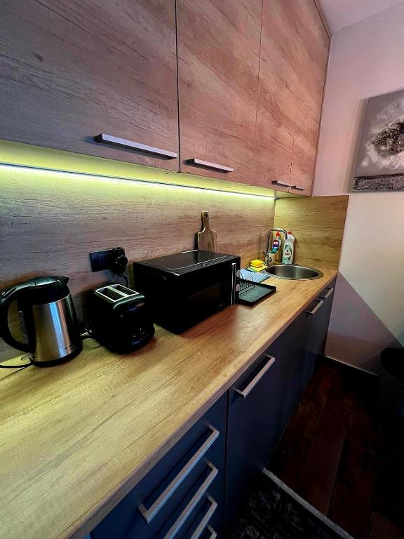 LUX Apartment A&M Netflix - One-Bedroom Apartment