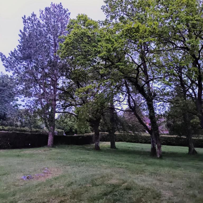 Zahrada ubytování Mont Joly Gîte