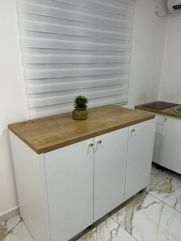 Foto Podgoricas asuva majutusasutuse Milena galeriist