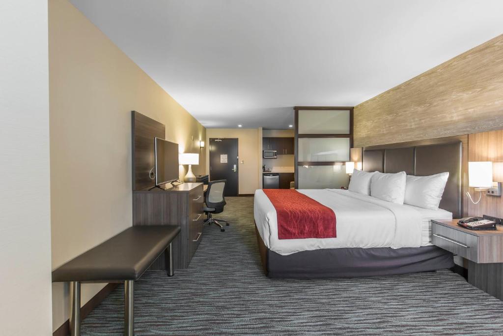 
King Suite with Sofa Bed
