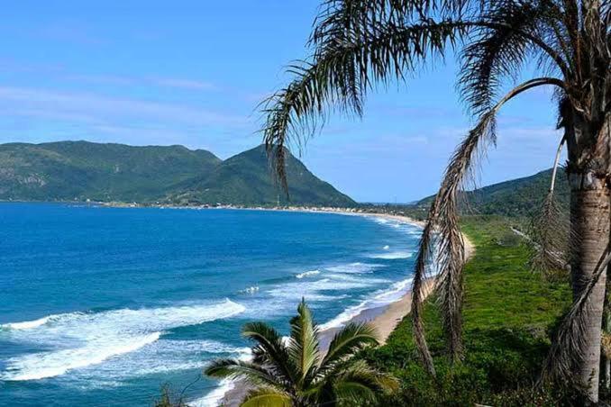 a view of a beach with palm trees and the ocean at Hospedagem 4Lm in Penha