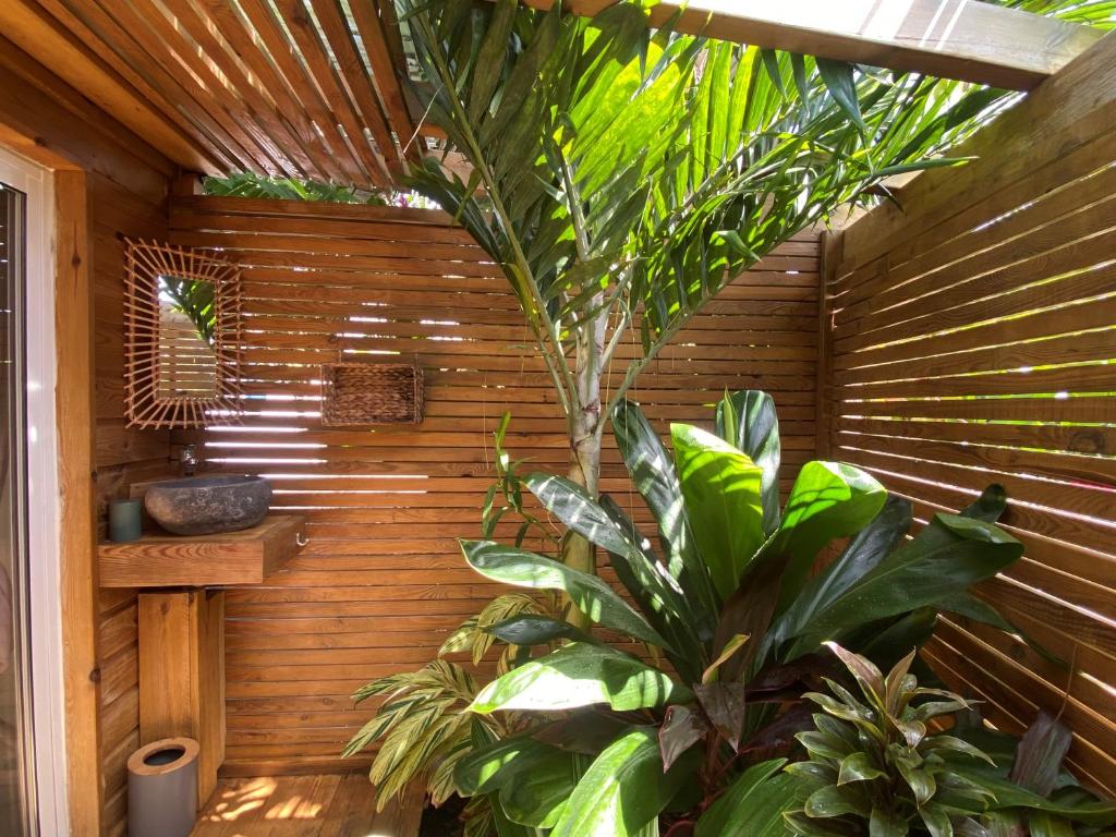 Zahrada ubytování Villa bleu karaïbes