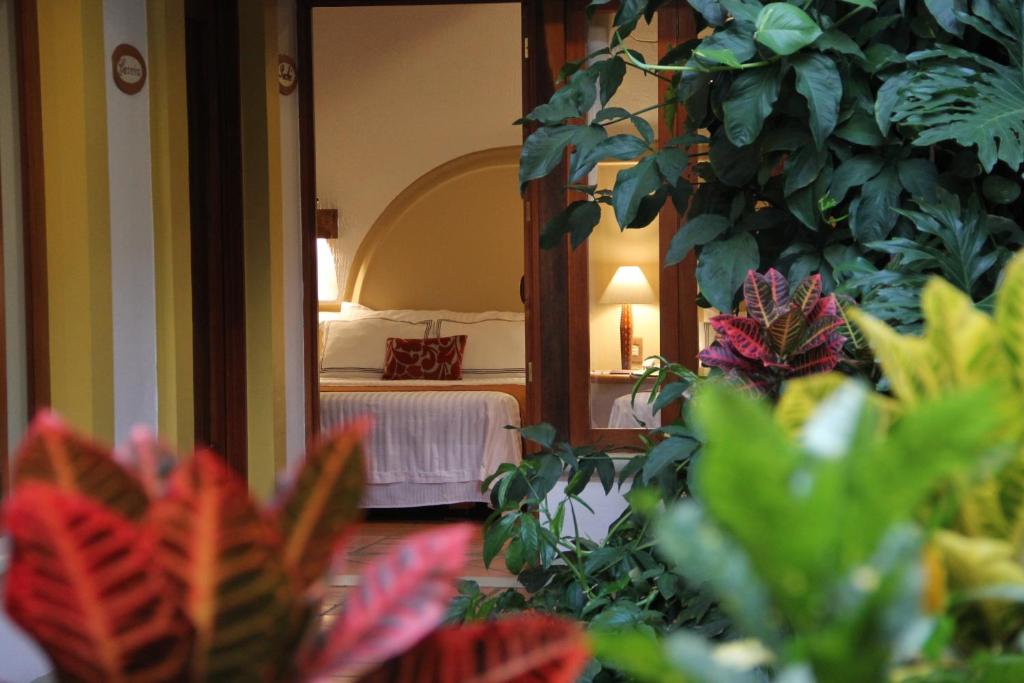 a room with a bed, a table and some plants at Hotel Casa Vertiz in Oaxaca City