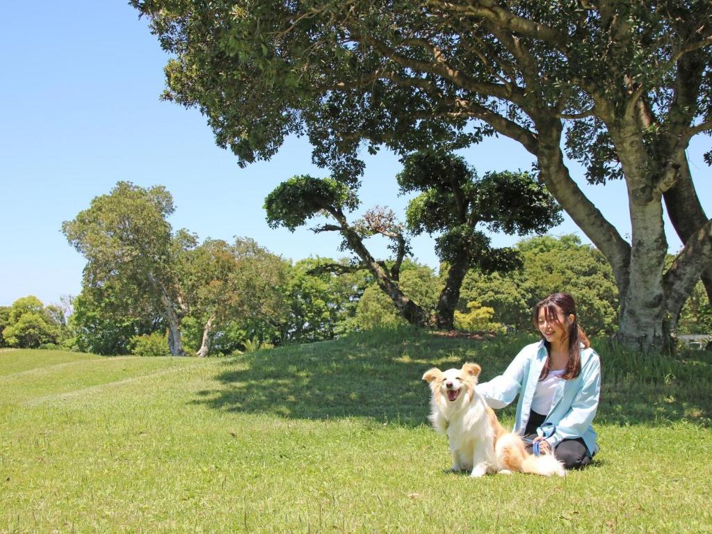 Domácí mazlíčci ubytovaní s hosty v ubytování Nanki Shirahama Dog Paradise