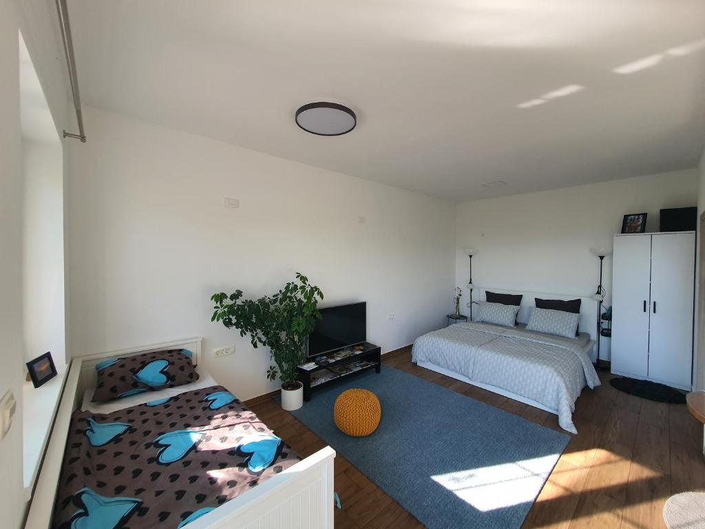 Postel nebo postele na pokoji v ubytování Apartma Tomažič