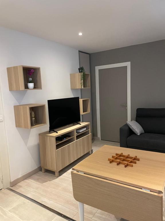 un salon avec un canapé et une télévision dans l'établissement Appartement cité gastronomique, à Dijon