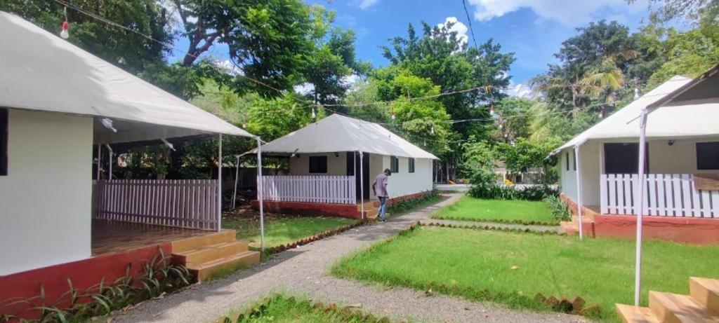 a person standing in a yard with a tent at Hiranya Nature Retreat in Daulatābād