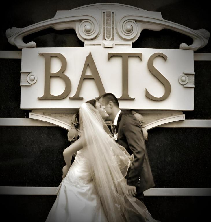 Hotel BATS - 豪华单人会议室
