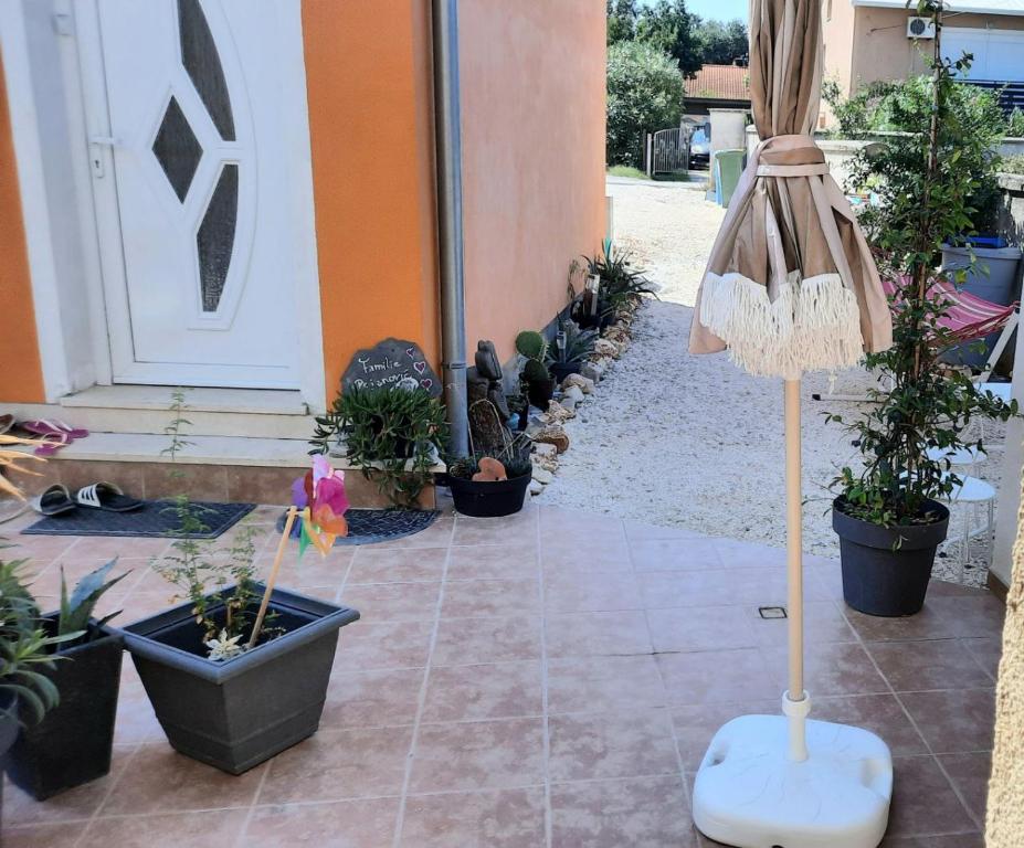 Vrt pred nastanitvijo Apartment Olive Istra