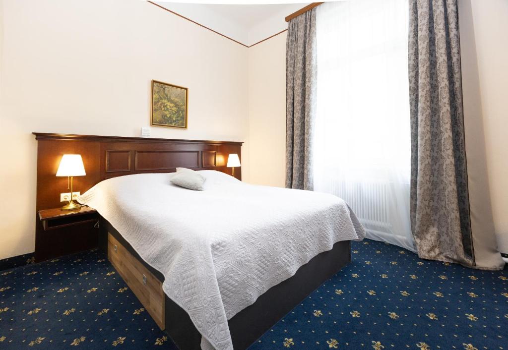 Hotel Viktoria Schönbrunn - Single Room