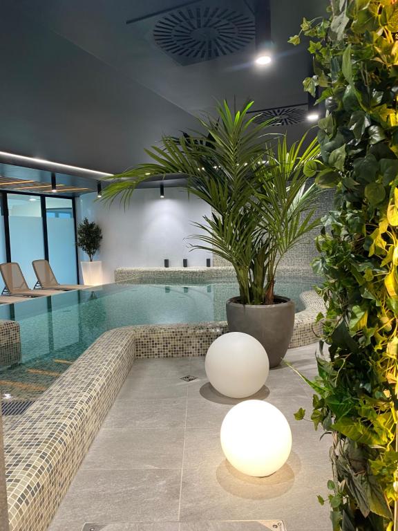 Bassein majutusasutuses Apartament nad morzem või selle lähedal