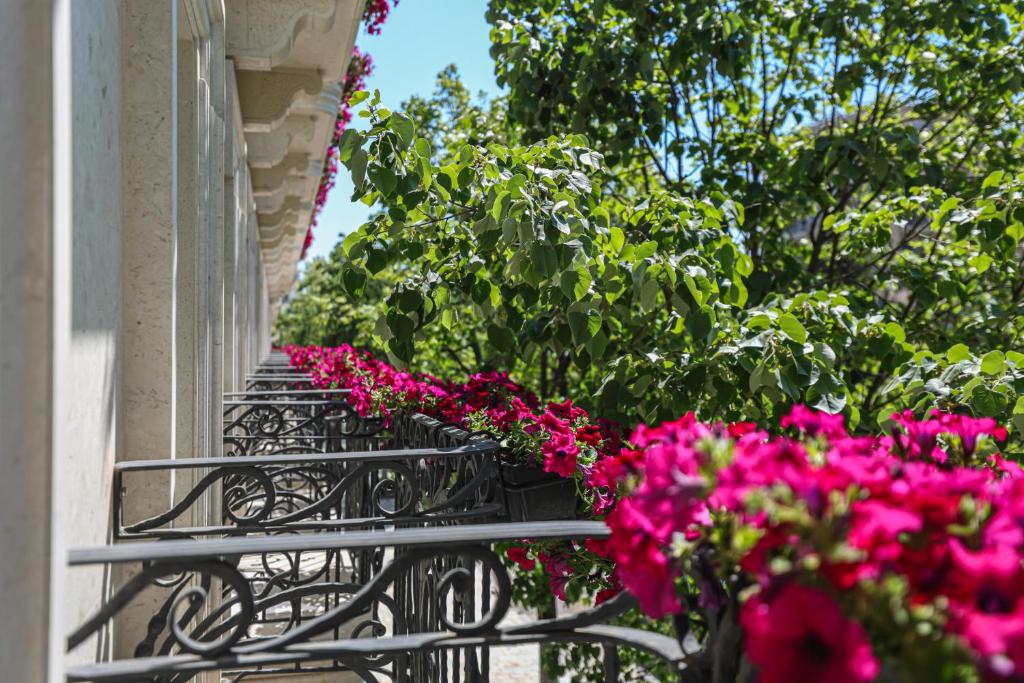 Zahrada ubytování Hotel Plaza Berat