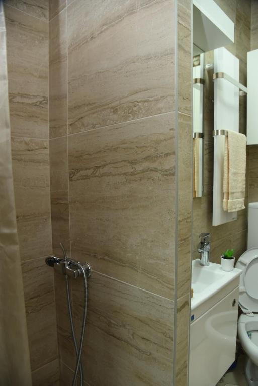 Koupelna v ubytování Apartmani Sofronic Loznica 1