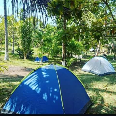 a blue tent sitting in the grass next to trees at Zion camping in Camacari