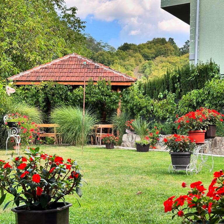 Zahrada ubytování Vila Veljković - Sobe & apartmani " Ljupče "