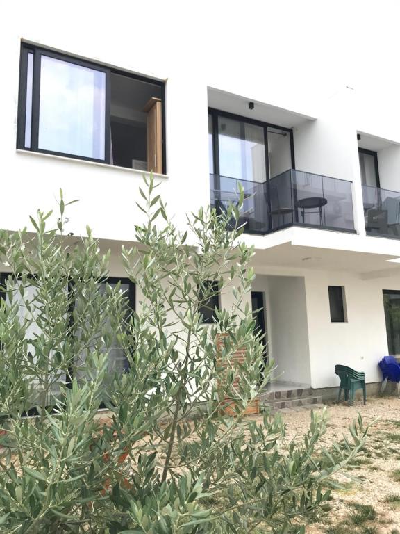 a white house with black windows and plants at Rine Apartments in Ulcinj